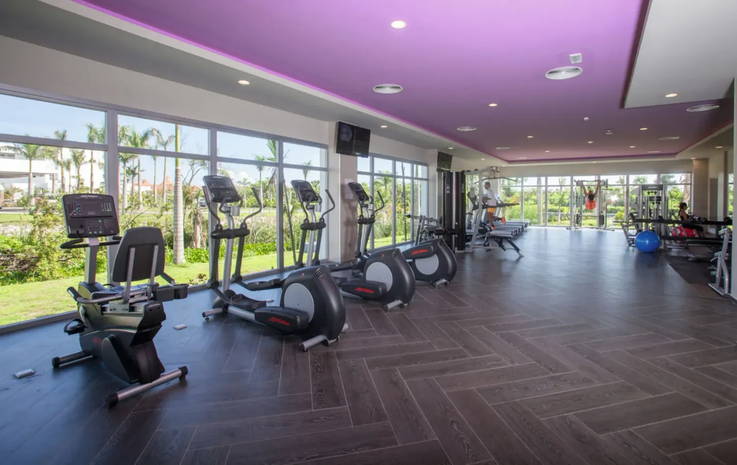 Large fitness room with cardio machines and garden-facing windows at Hotel Riu Republica.