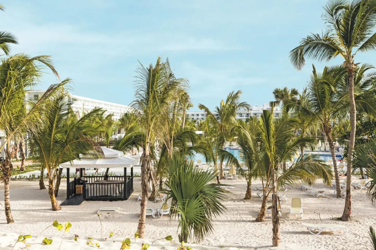 Palm-filled pool and garden area at Hotel Riu Republica with lounge chairs and white resort buildings.