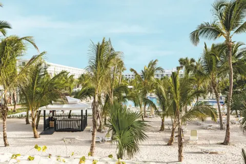 Palm-filled pool and garden area at Hotel Riu Republica with lounge chairs and white resort buildings.