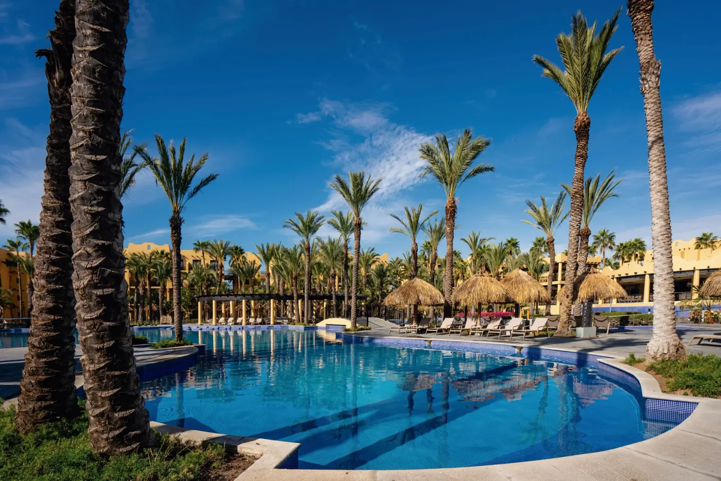Curved swimming pool with palms and thatched loungers at Hotel Riu Santa Fe.