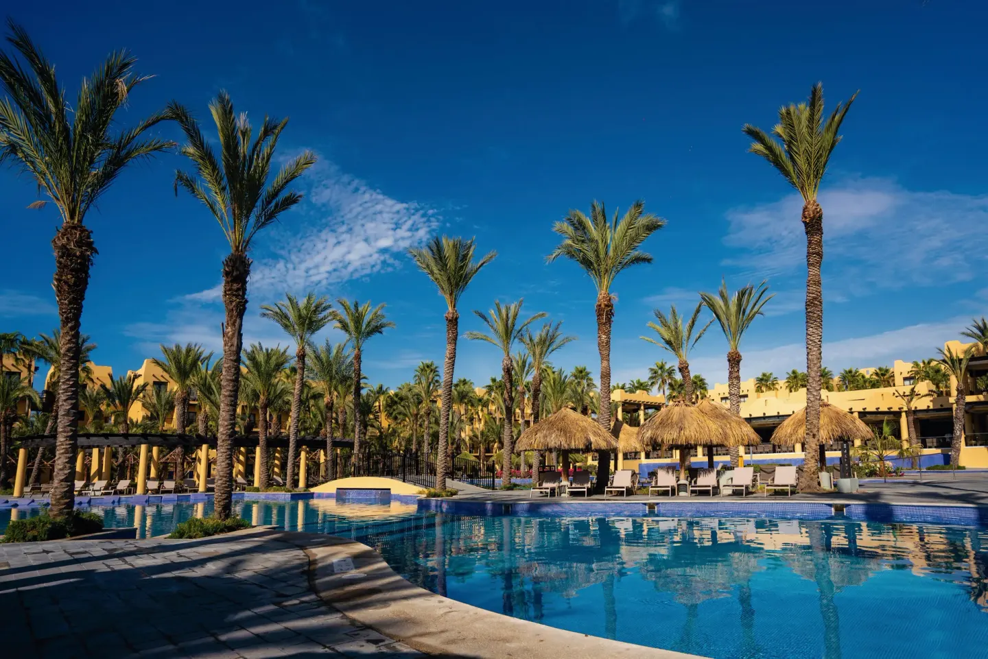 Palm-lined pool with thatched shade umbrellas at Hotel Riu Santa Fe.