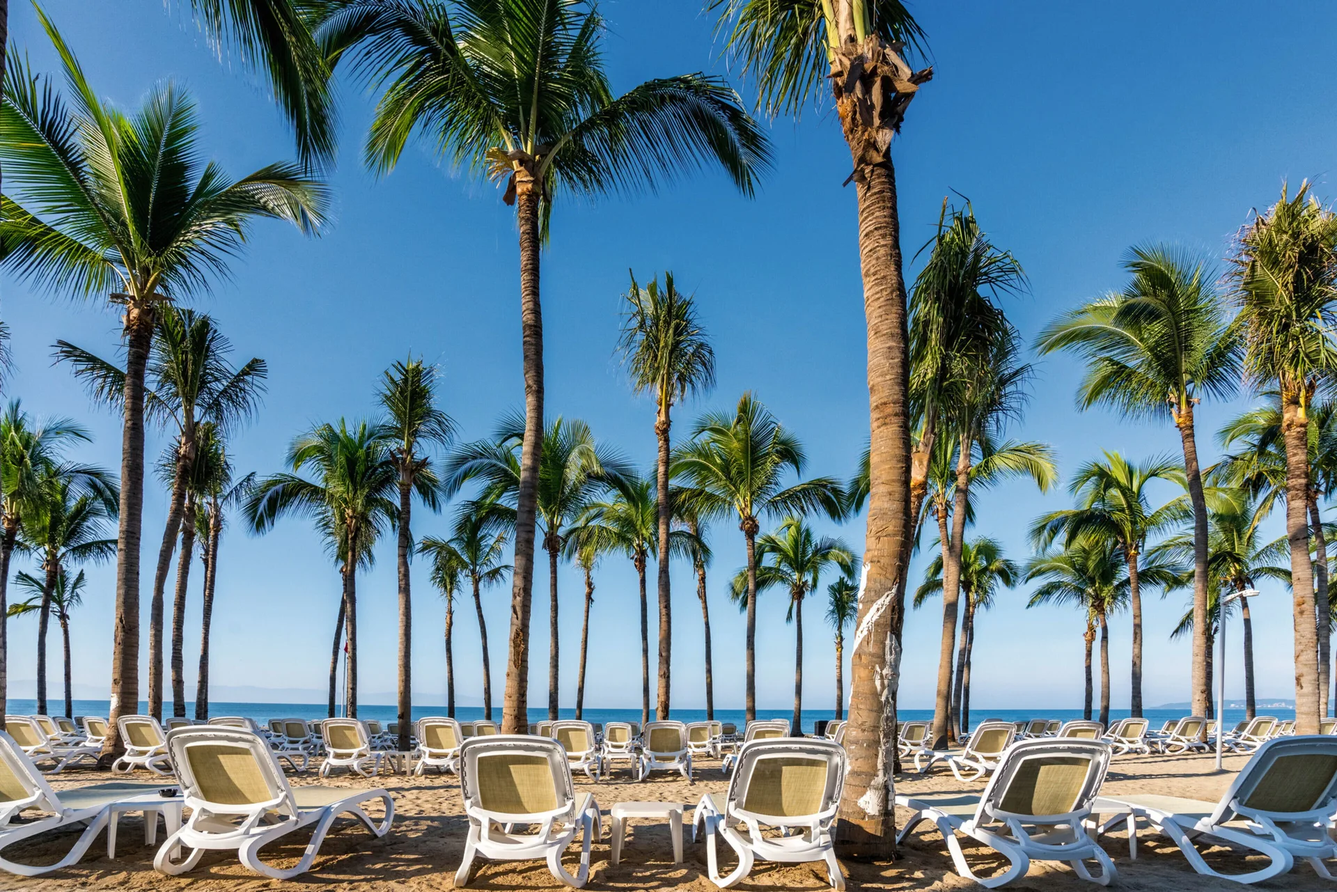 Beach loungers beneath palm trees beside the ocean at Hotel Riu Vallarta.