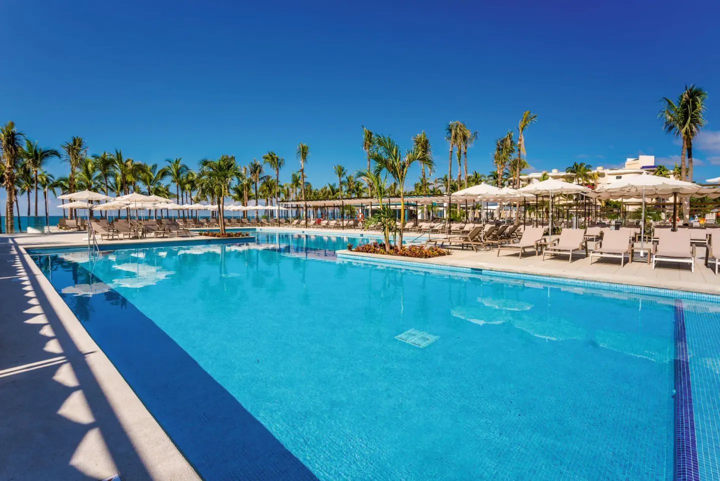 Pool deck with umbrellas, loungers, palms, and ocean beyond at Hotel Riu Vallarta.