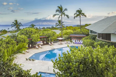 Elevated pool view with palms, cabanas, ocean, and distant island at Hotel Wailea.