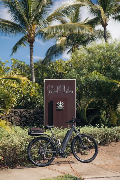 Bicycle parked in front of the Hotel Wailea entrance sign among palms.