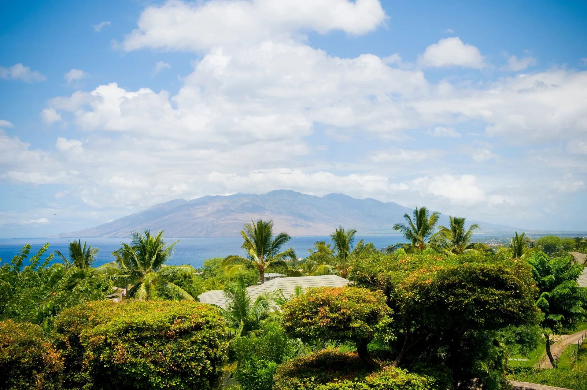 Palm trees and lush gardens frame an ocean and island view from Hotel Wailea.