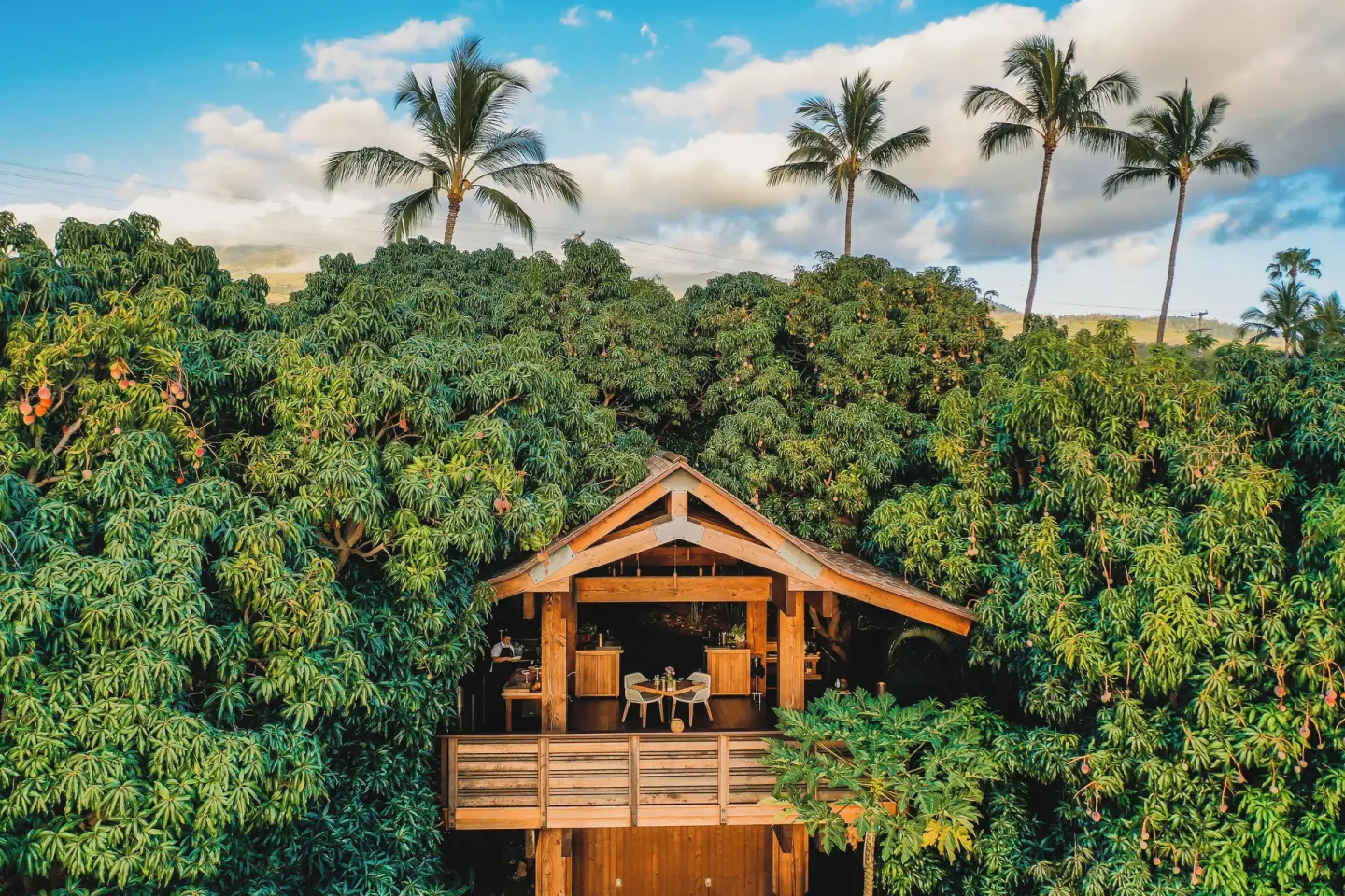 Open-air wooden pavilion sits among mango trees and palms at Hotel Wailea.