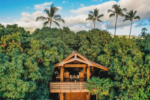 Open-air wooden pavilion sits among mango trees and palms at Hotel Wailea.