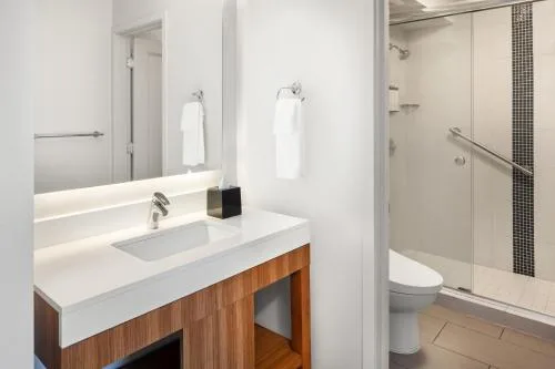Specialty Mountain View bathroom vanity and shower at Hyatt Place Waikiki Beach.