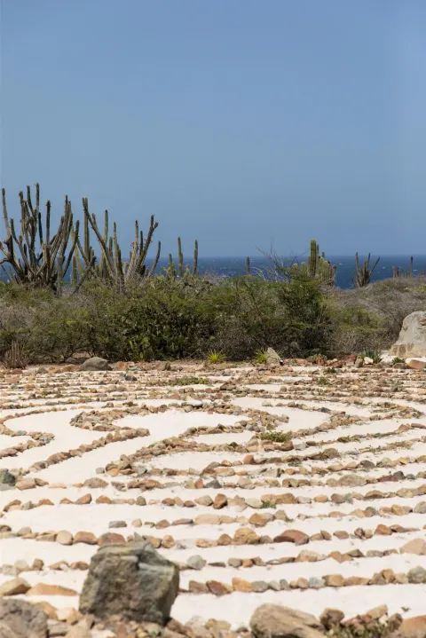 Desert garden with stone paths, cactus and ocean beyond at Hyatt Regency Aruba Resort and Casino.