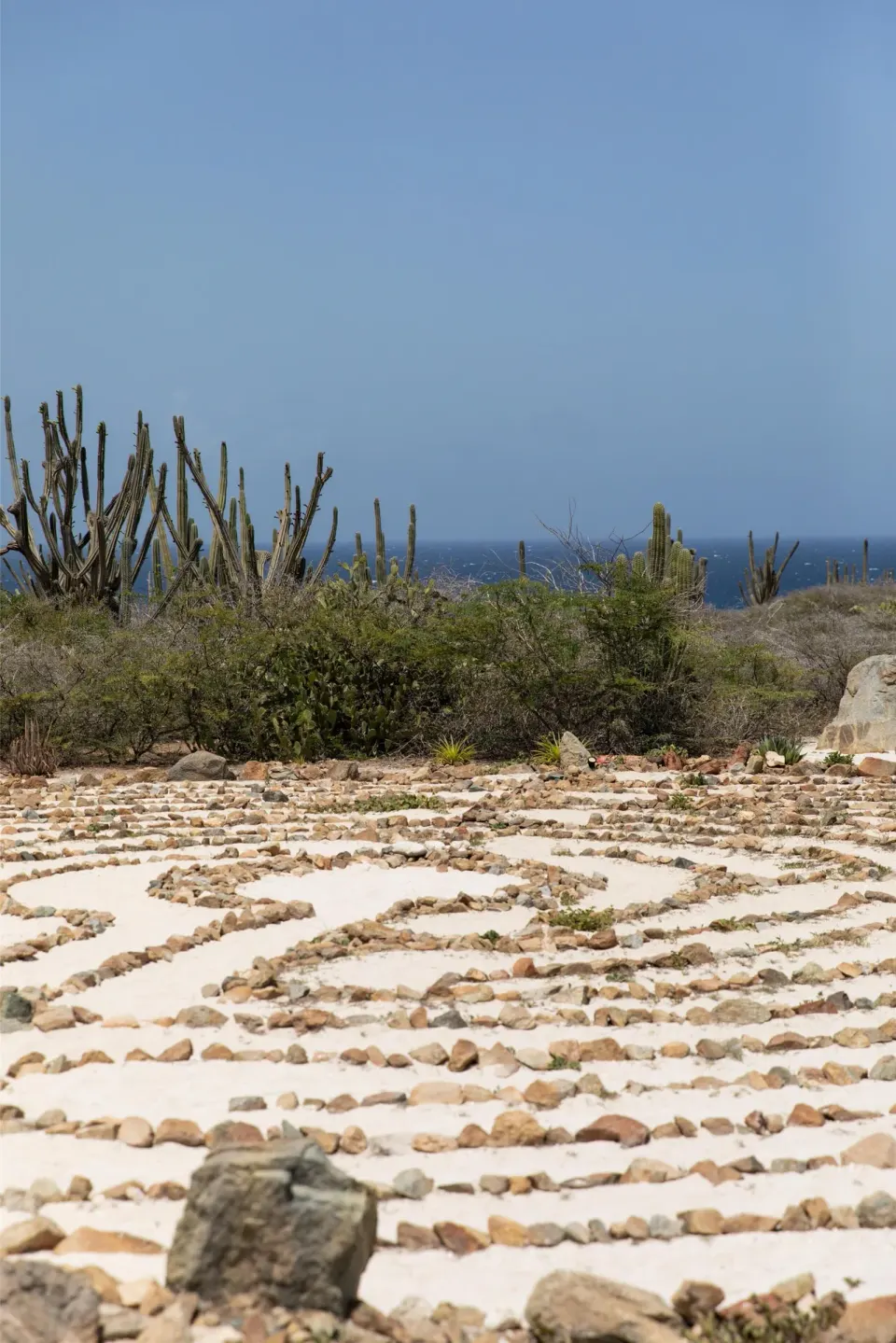 Desert garden with stone paths, cactus and ocean beyond at Hyatt Regency Aruba Resort and Casino.