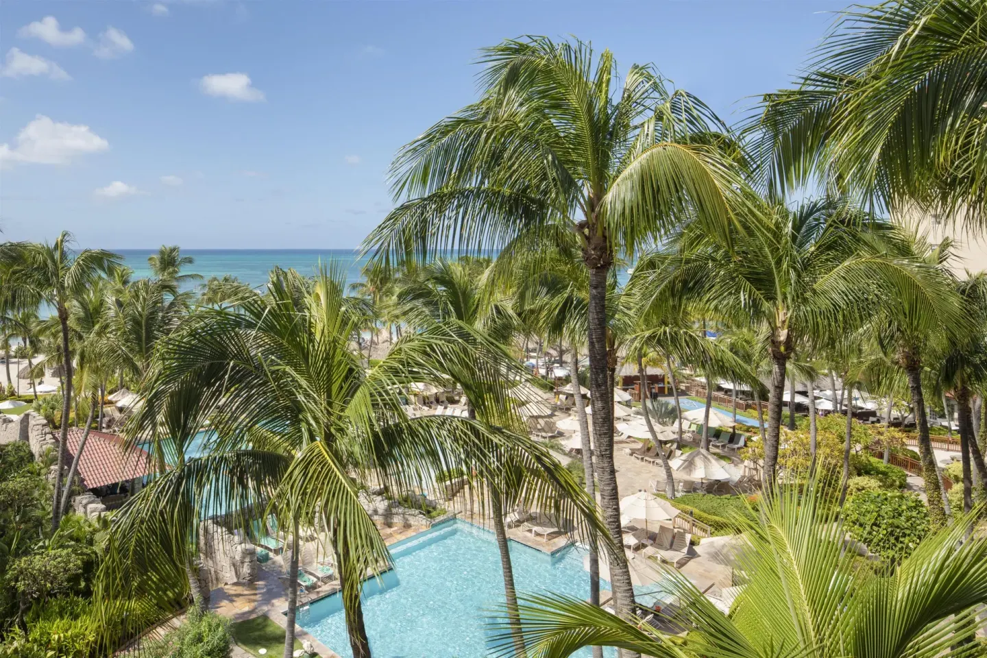 Palm trees frame the pool and beach at Hyatt Regency Aruba Resort and Casino.