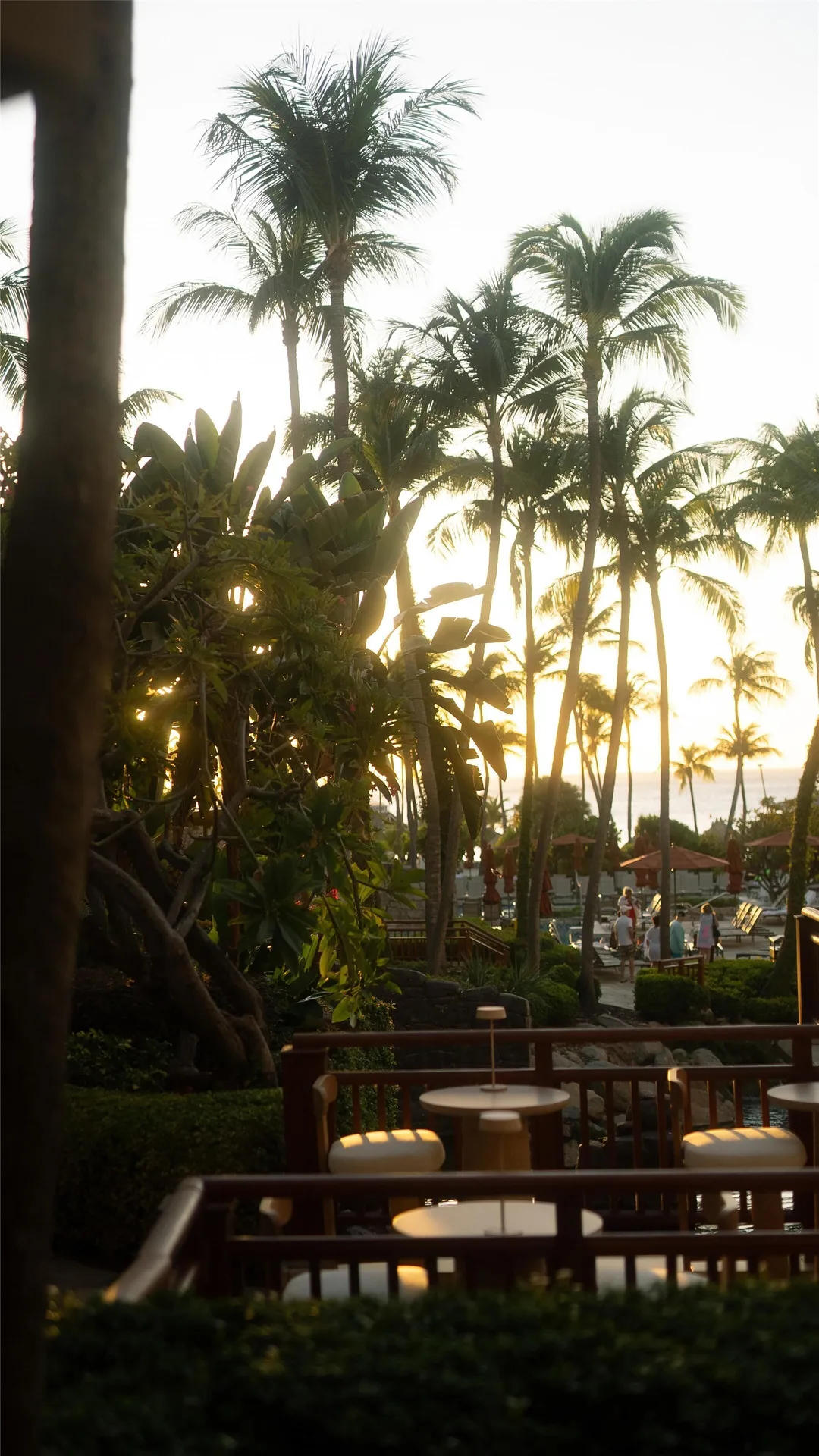 Palm garden and outdoor seating at sunset at Hyatt Regency Aruba Resort and Casino.