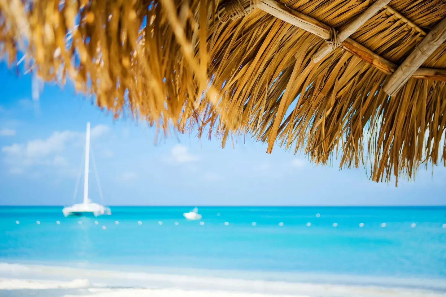Thatched beach shade framing turquoise water at Hyatt Regency Aruba Resort and Casino.
