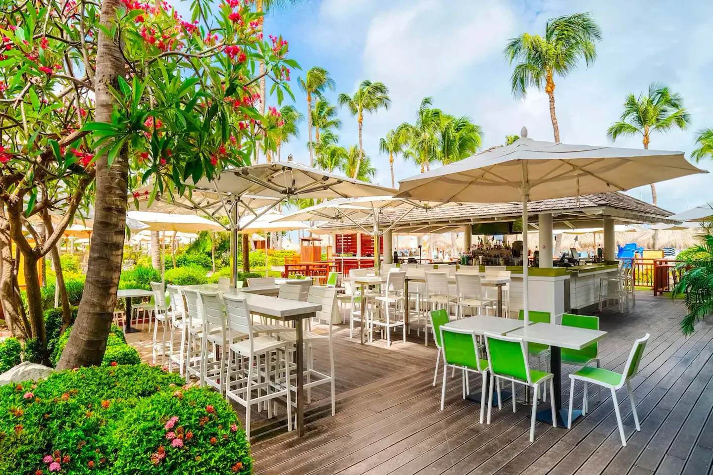 Kadushi Juice Bar at Hyatt Regency Aruba Resort and Casino