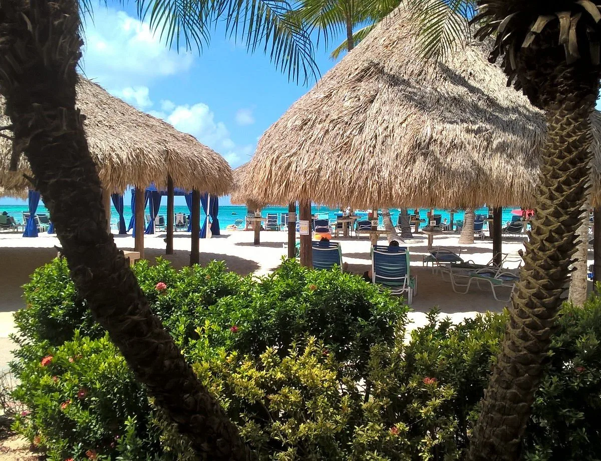 Palms Beach Bar at Hyatt Regency Aruba Resort and Casino