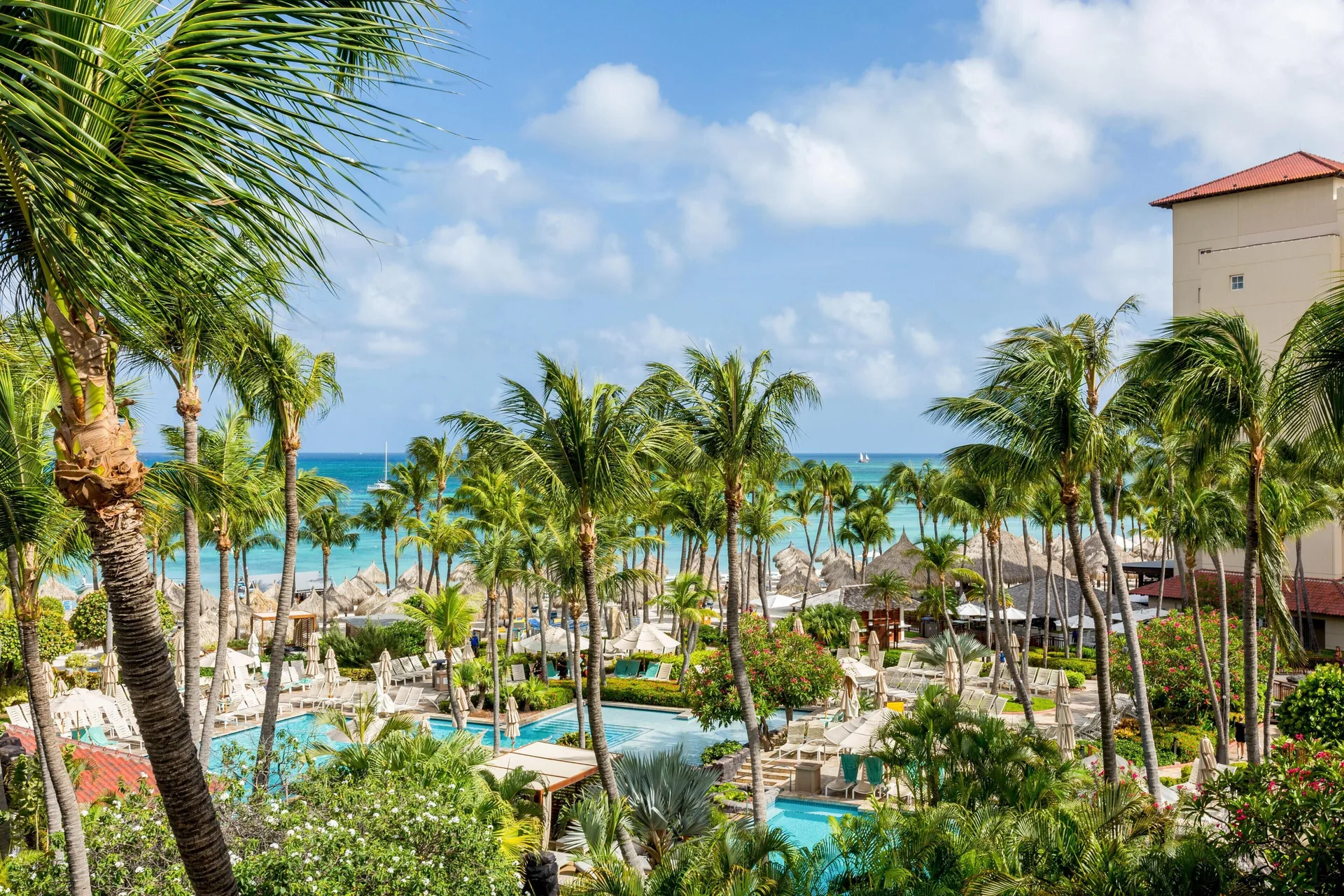 Cayena Suite Resort View with palms, pools, and beach at Hyatt Regency Aruba Resort and Casino.