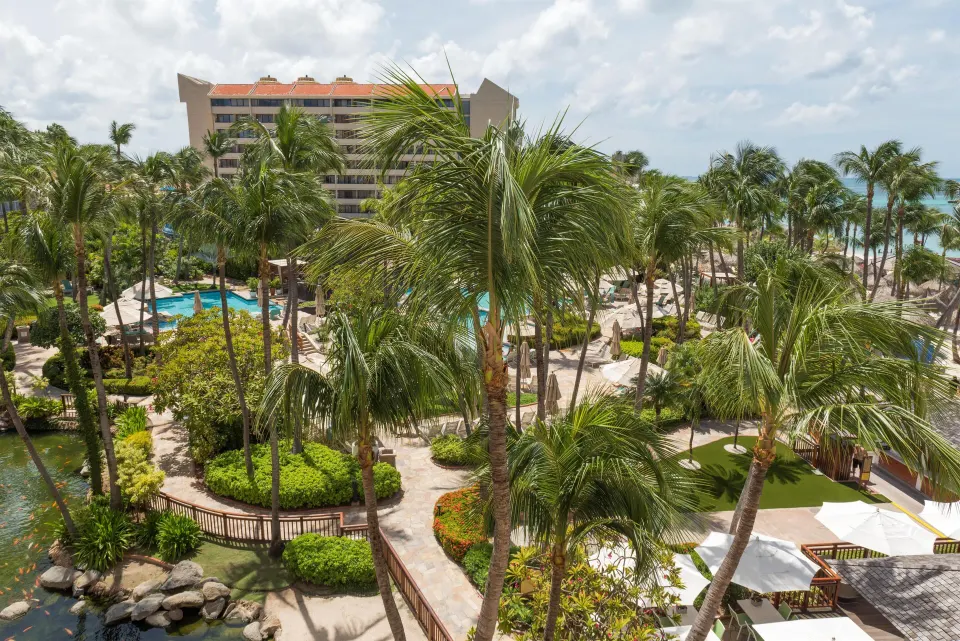 Resort view of palms, pool paths, and ocean at Hyatt Regency Aruba Resort and Casino.