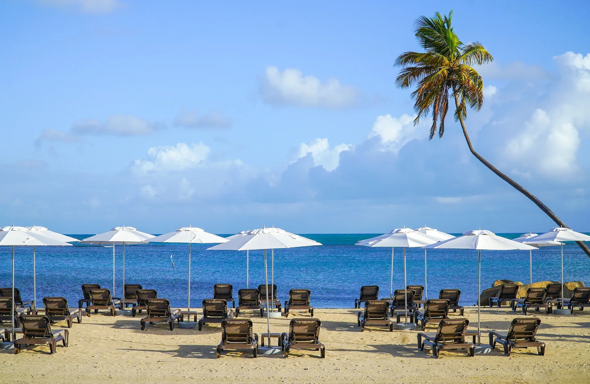 Beach loungers and white umbrellas facing the ocean at Hyatt Regency Grand Reserve Puerto Rico.