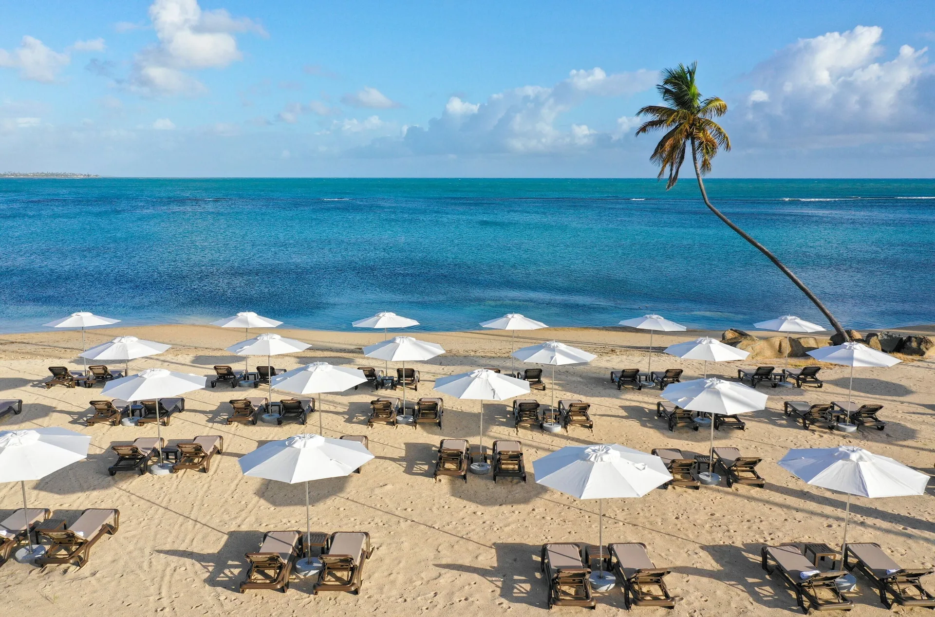 Beach umbrellas and lounge chairs by the ocean at Hyatt Regency Grand Reserve Puerto Rico.