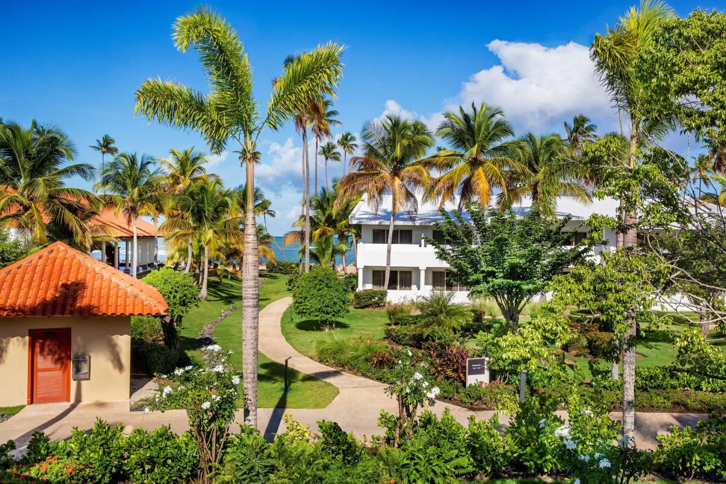 Palm-lined garden paths and resort buildings at Hyatt Regency Grand Reserve Puerto Rico.