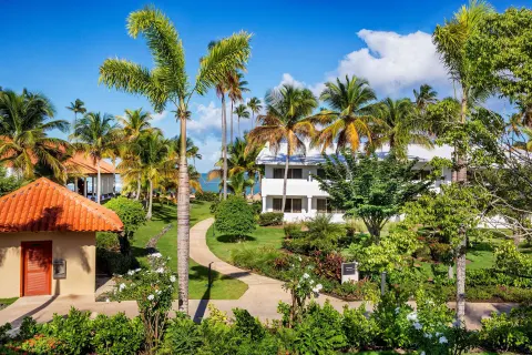 Palm-lined garden paths and resort buildings at Hyatt Regency Grand Reserve Puerto Rico.