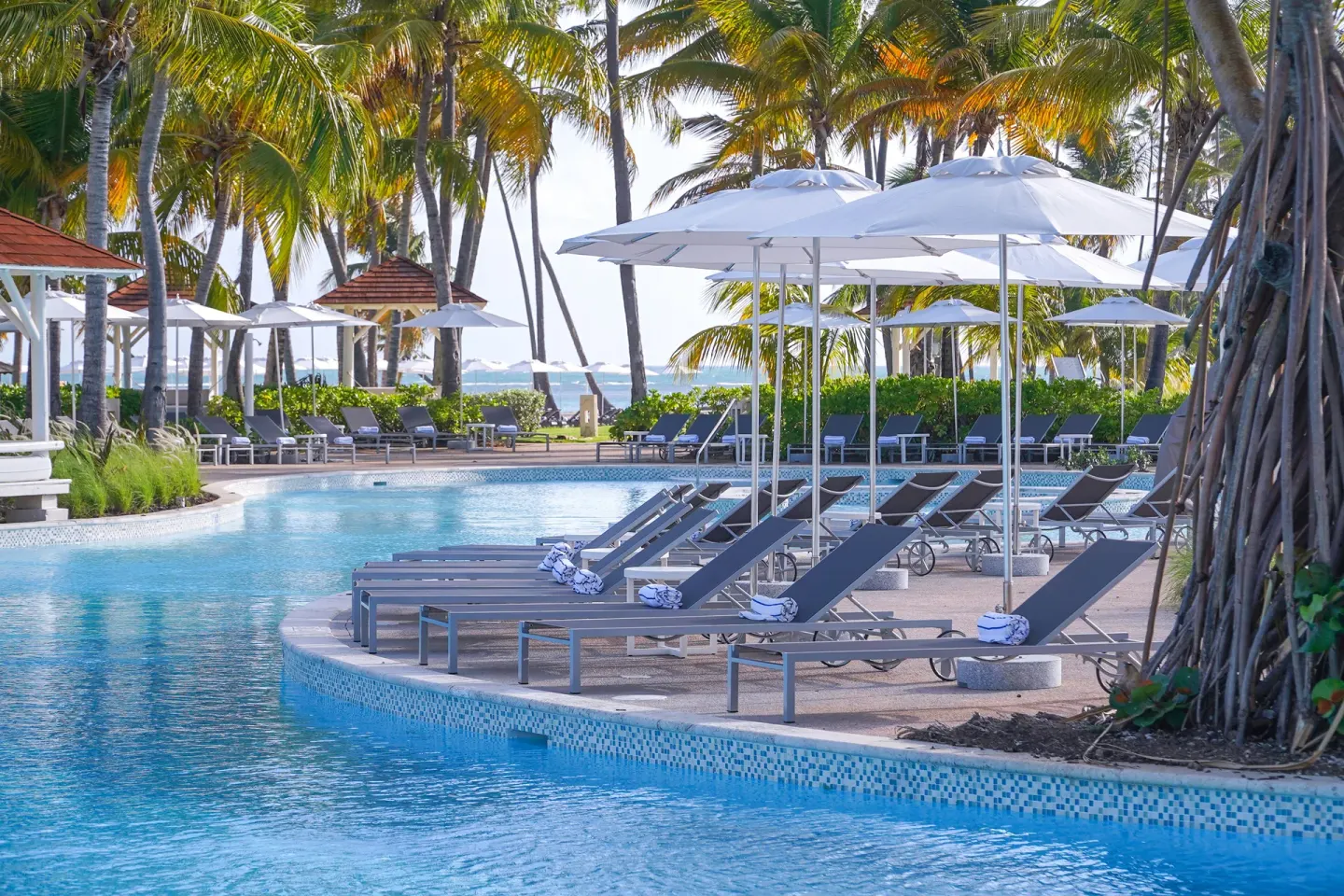 Poolside loungers and white umbrellas among palms at Hyatt Regency Grand Reserve Puerto Rico.