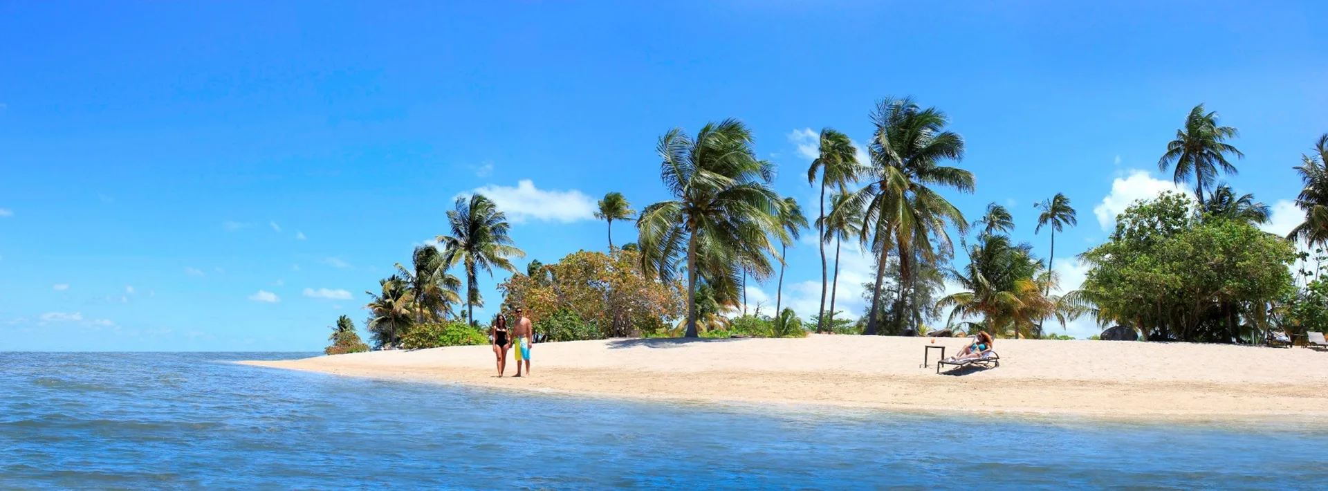 Sandy beach with palms and calm water at Hyatt Regency Grand Reserve Puerto Rico.