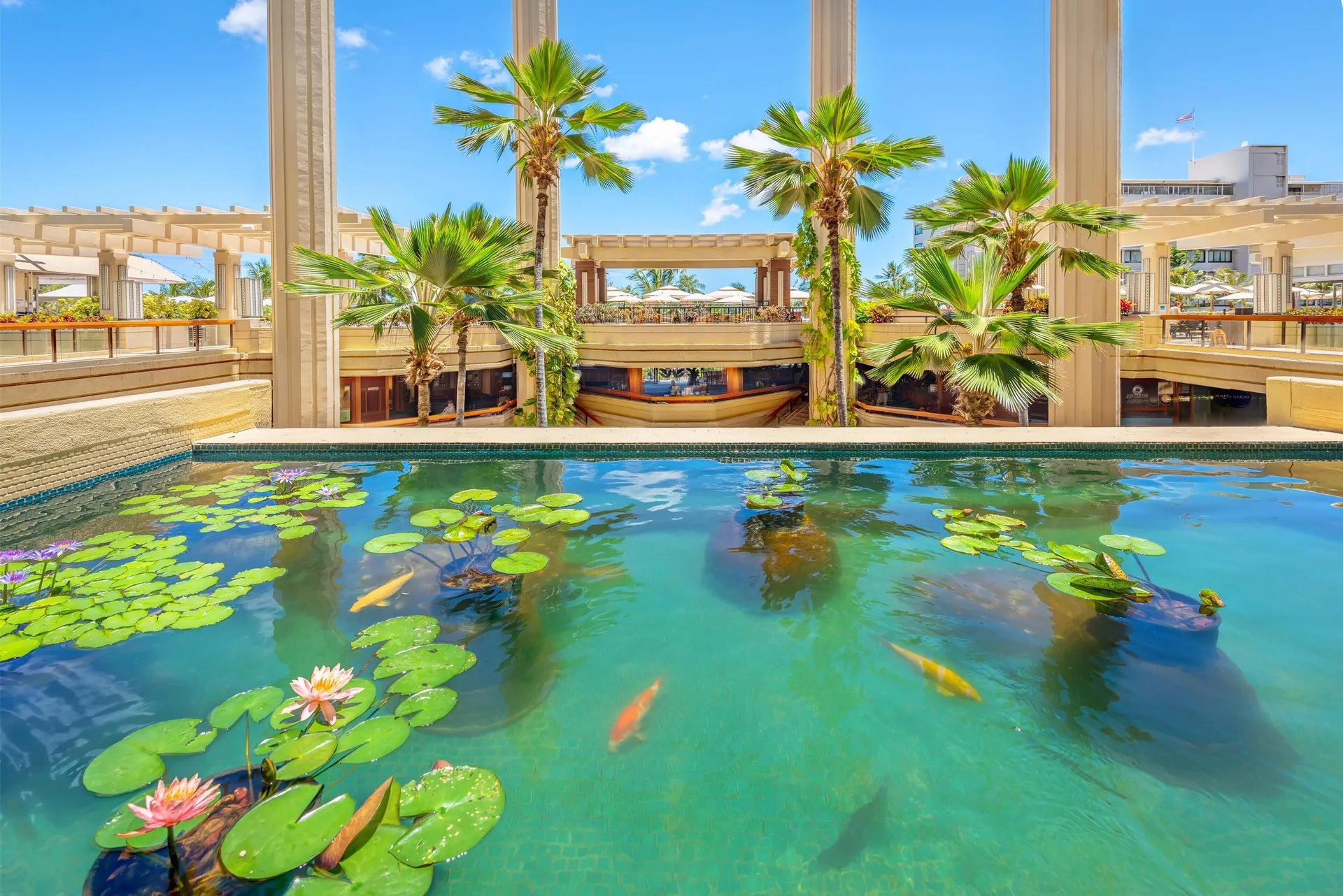 Koi pond with water lilies and palms at Hyatt Regency Waikiki Beach Resort & Spa.