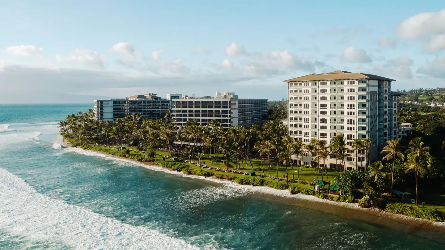 Oceanfront resort towers and palms at Hyatt Vacation Club at Ka'anapali Beach.