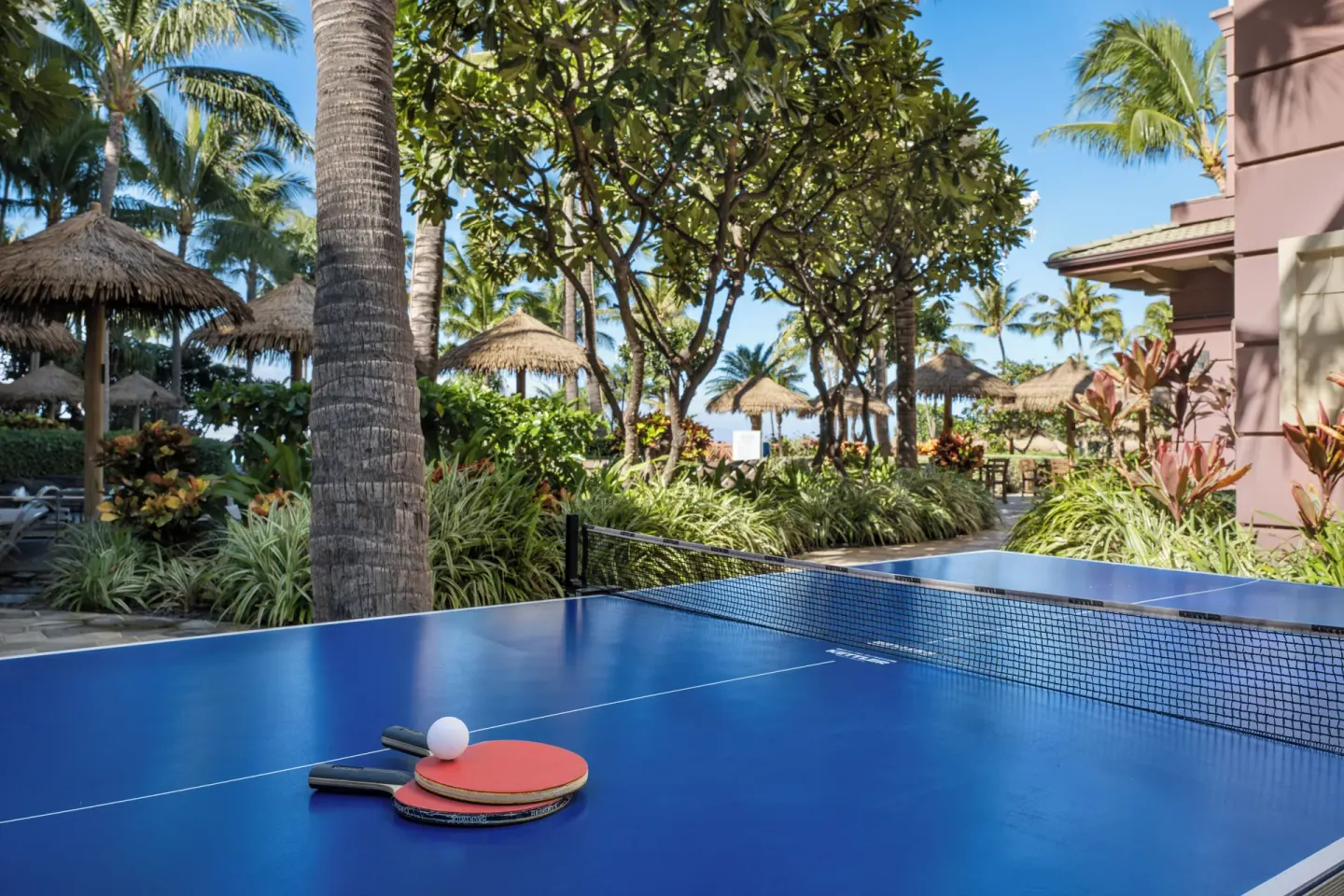 Blue ping-pong table with paddles amid palms at Hyatt Vacation Club at Ka'anapali Beach.