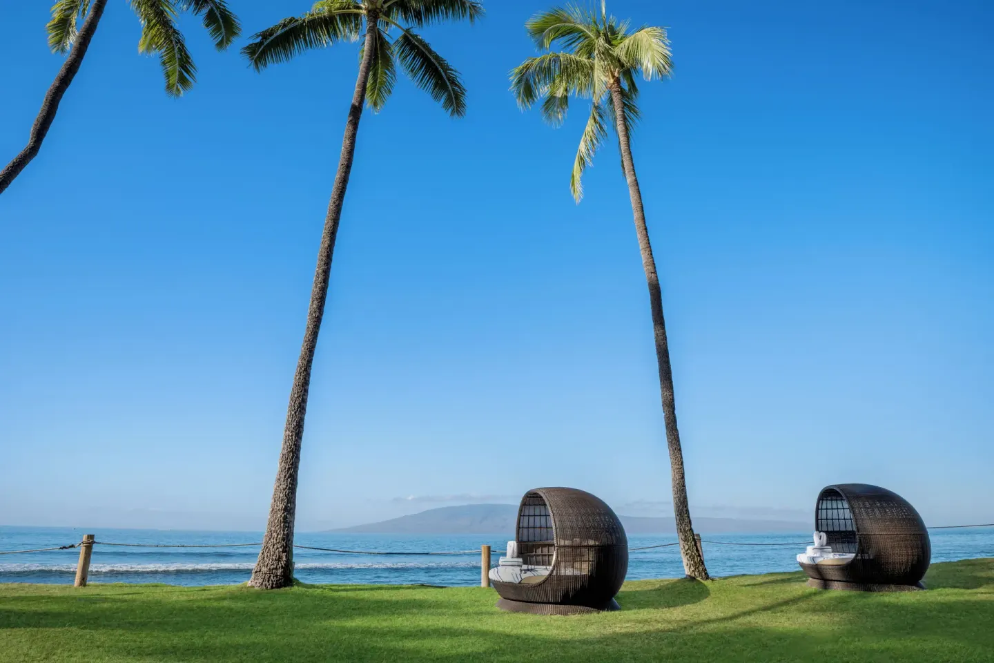Palm-lined oceanfront lawn with daybeds at Hyatt Vacation Club at Ka'anapali Beach.