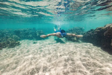 Snorkeler swimming over coral and sand near Hyatt Vacation Club at Ka'anapali Beach.