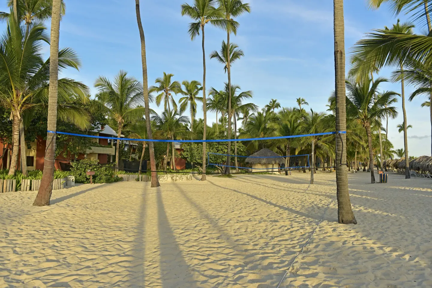 Beach volleyball net between palm trees at Iberostar Selection Bávaro Suites.