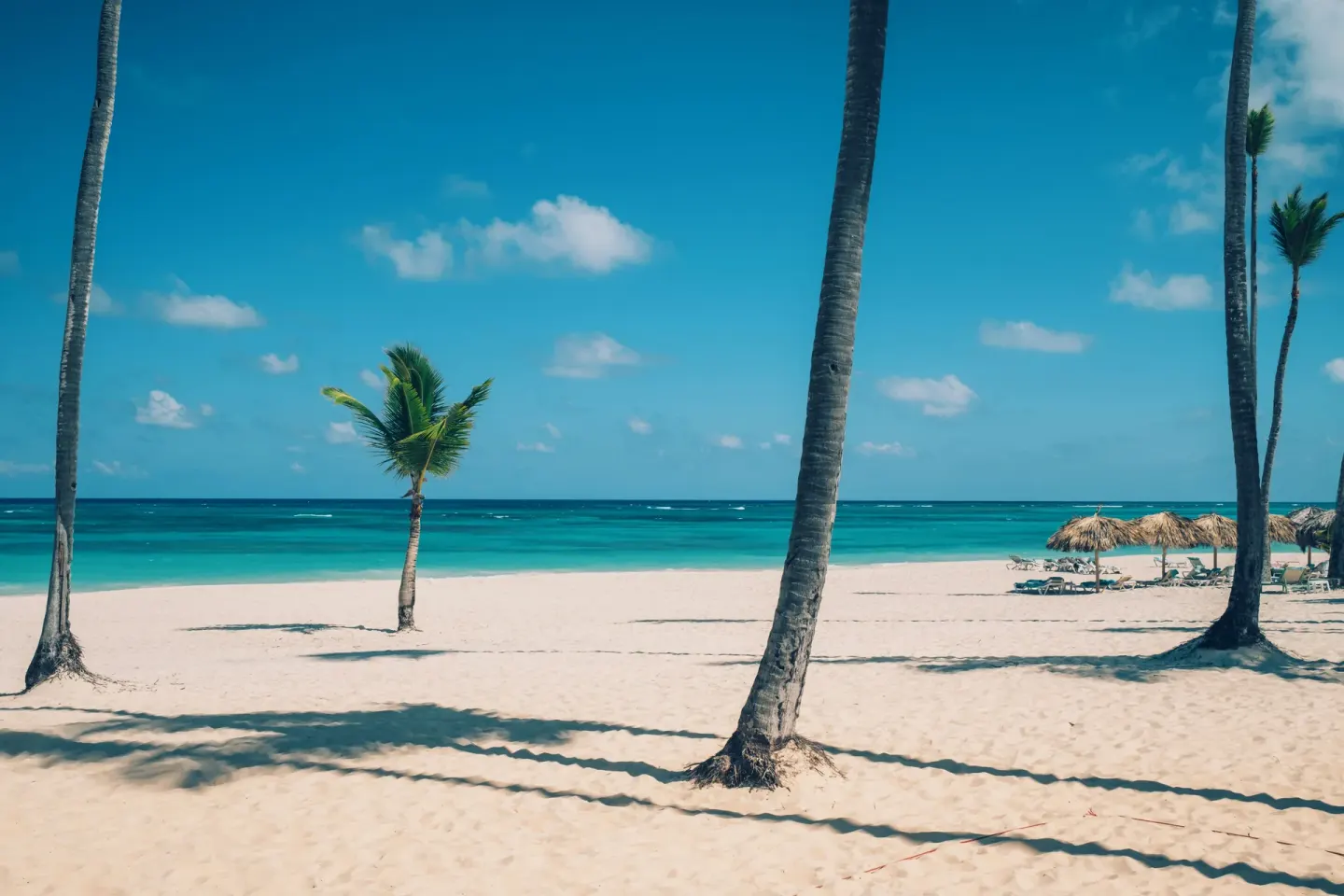Palm trees and thatched shade palapas on the beach at Iberostar Selection Bávaro Suites.