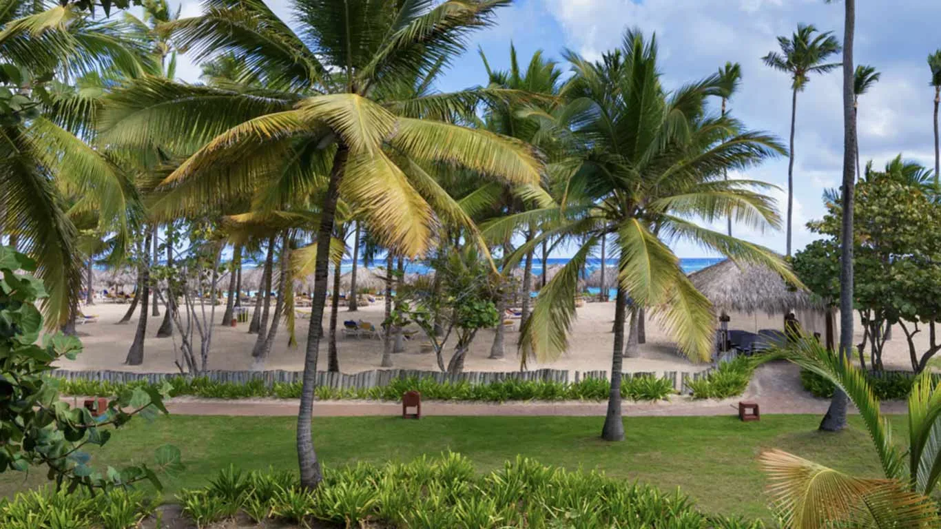 Oceanfront Junior Suite Official 2