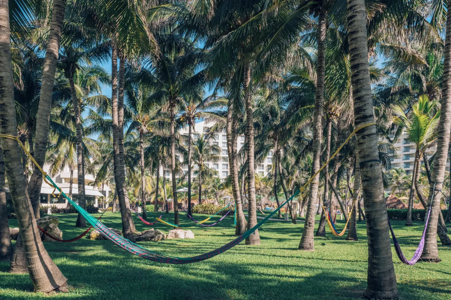 Colorful hammocks strung between palm trees on the grounds at Iberostar Selection Cancún.