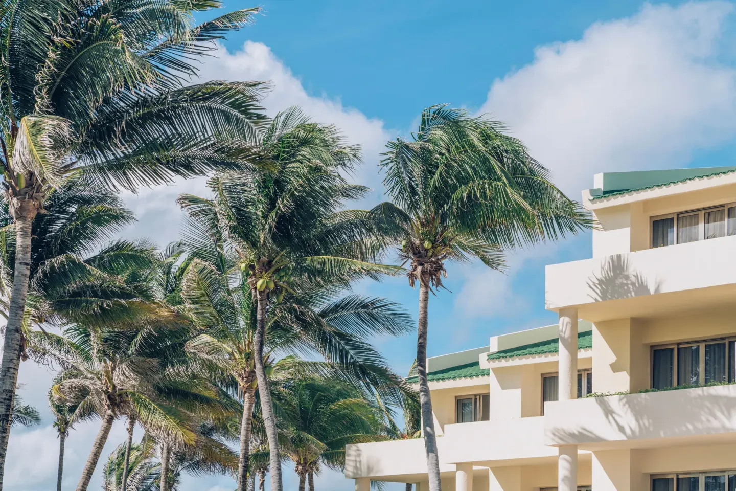 Palm trees beside white resort balconies at Iberostar Selection Cancún.