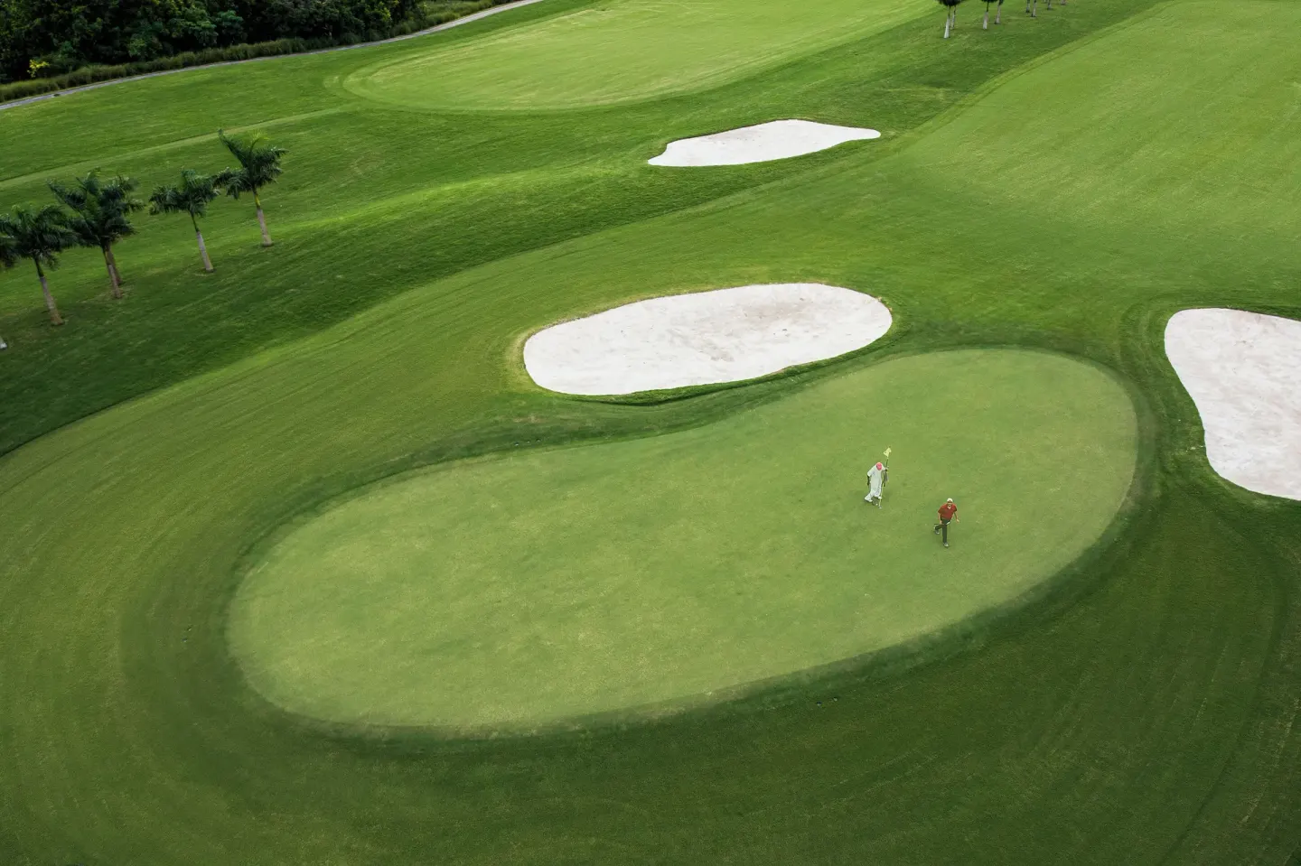 Aerial view of golfers on a green at Iberostar Selection Coral Bávaro.