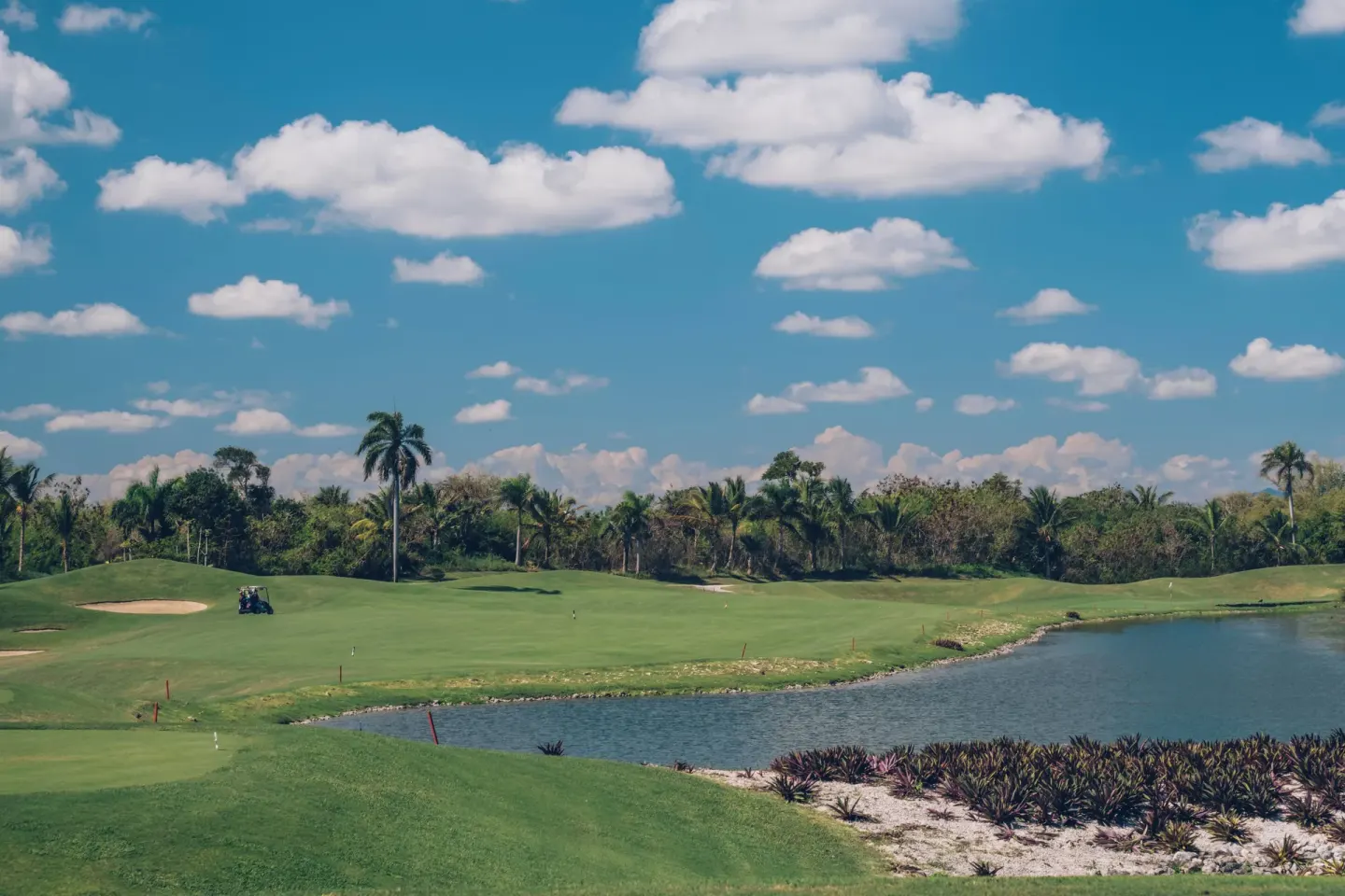 Golf course with water feature and palm trees at Iberostar Selection Coral Bávaro.