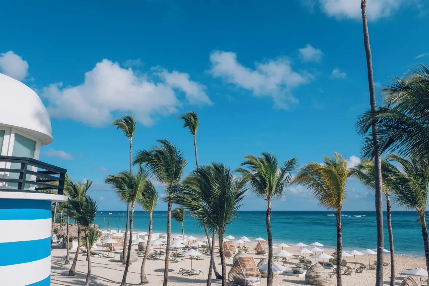 Palm-lined beach with loungers and ocean views at Iberostar Selection Coral Bávaro.
