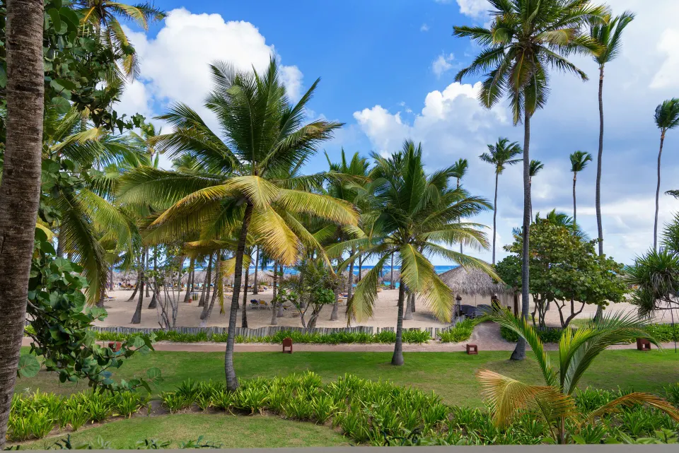 Palm garden and beach view from a Junior Suite at Iberostar Selection Coral Bávaro.