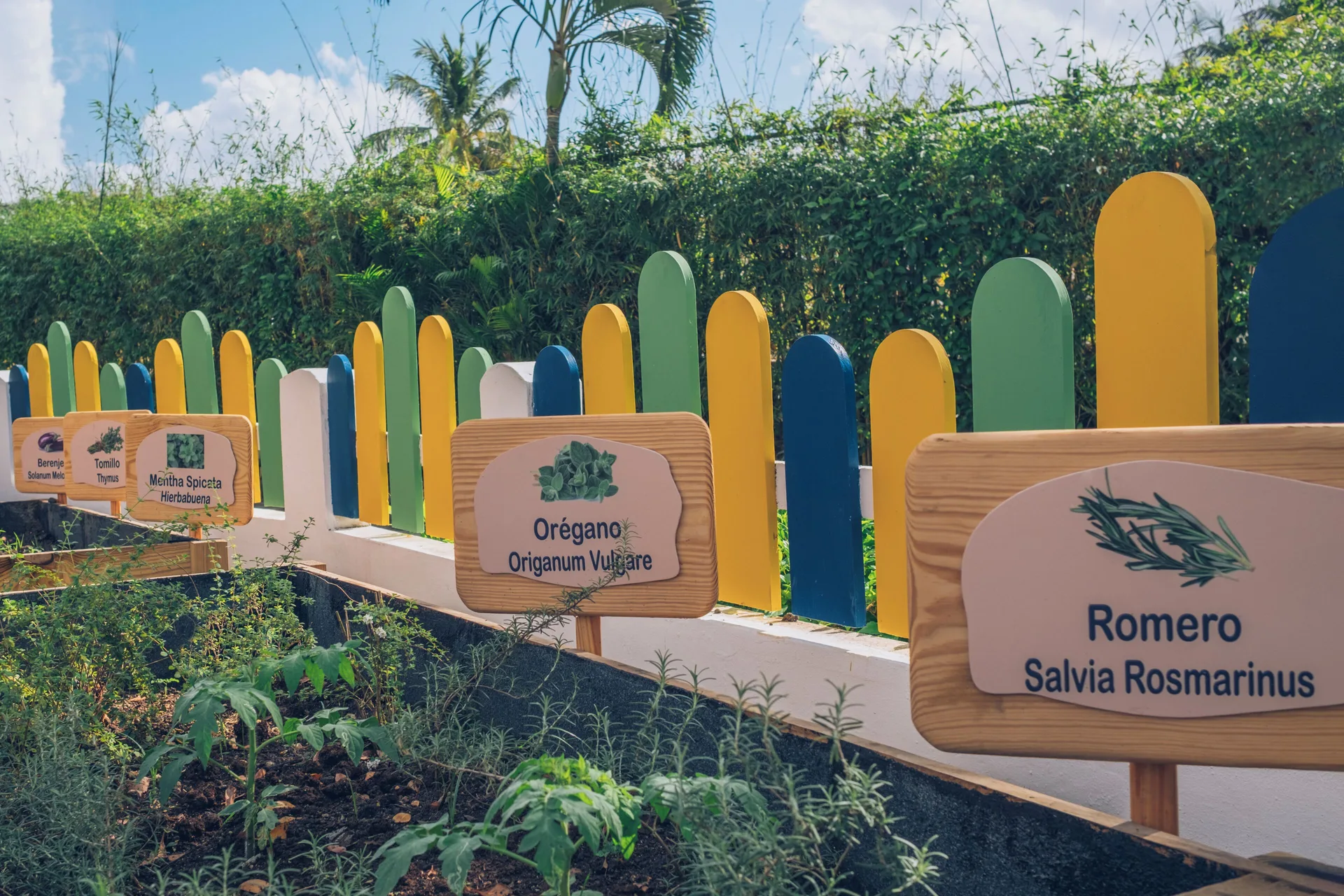 Herb garden signs and colorful fence at Iberostar Selection Hacienda Dominicus.