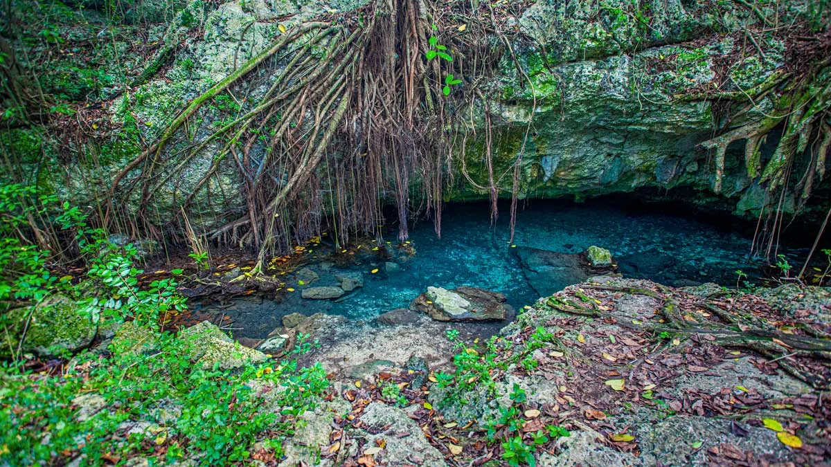 Cotubamana National Park 5 Min Drive