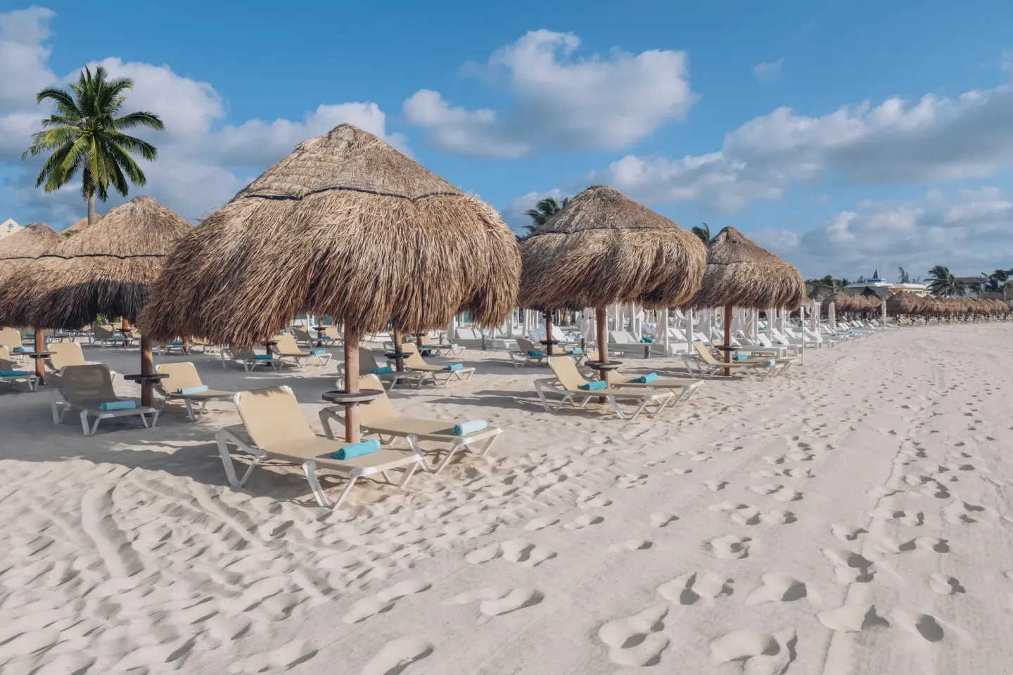 Rows of thatched beach palapas and loungers on the sand at Iberostar Selection Paraíso Lindo.