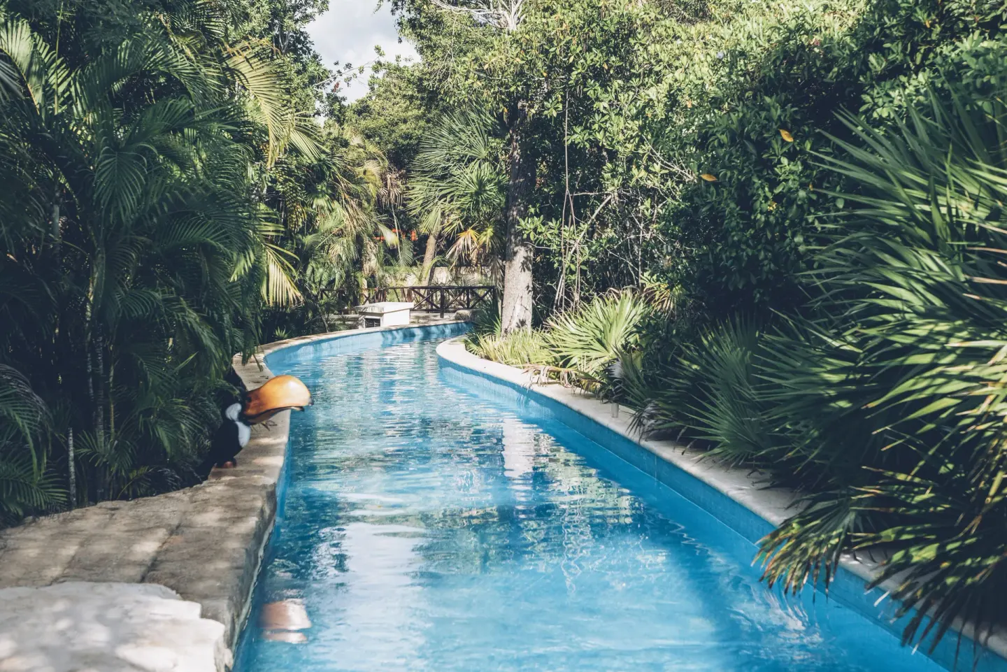 Narrow lazy-river-style waterway through palms at Iberostar Selection Paraíso Lindo.