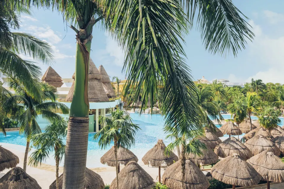 Premium room pool view with palms and palapas at Iberostar Selection Paraíso Lindo.