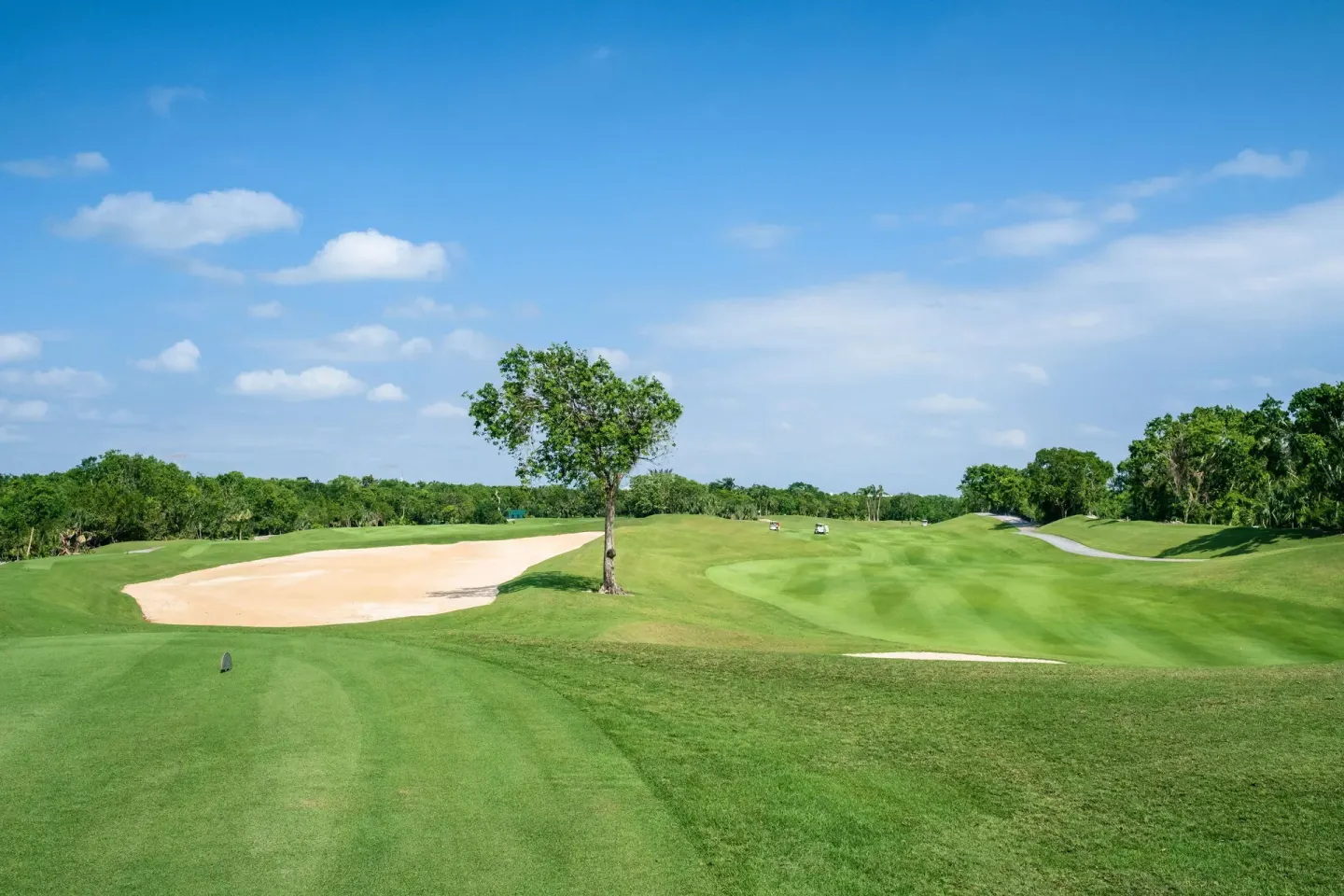 Golf fairway with sand bunker and trees at Iberostar Selection Paraíso Maya Suites.