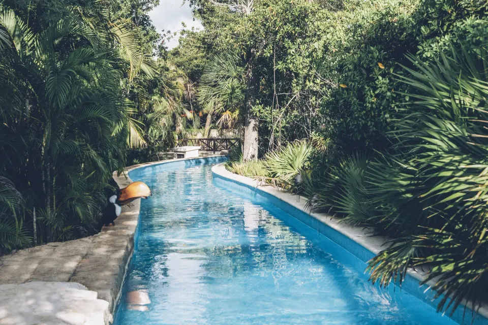Curving lazy river through tropical greenery at Iberostar Selection Paraíso Maya Suites.