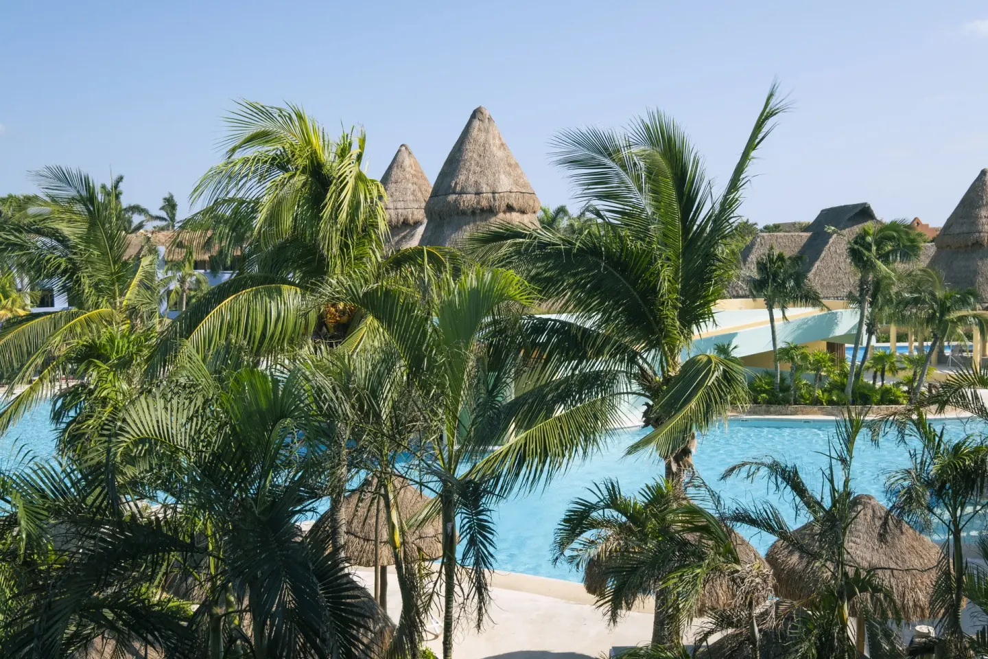Pool and palm view near the Junior Suite at Iberostar Selection Paraíso Maya Suites.